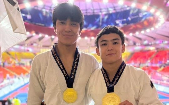 джиу-джитсу