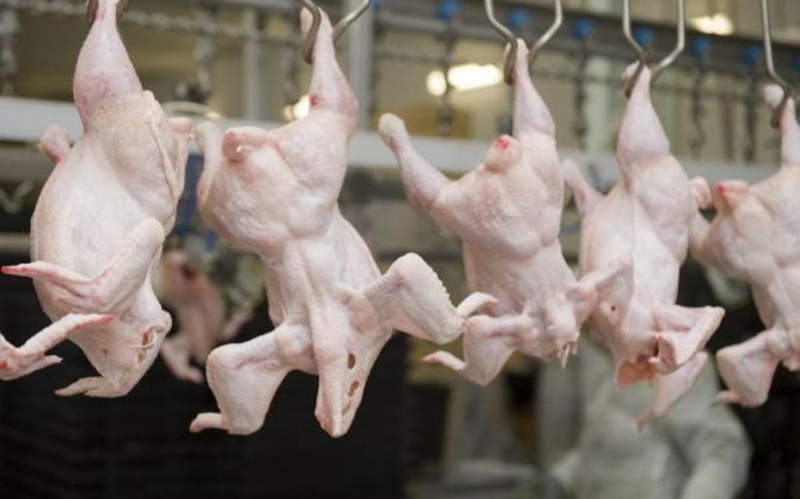 Казахстан сможет полностью обеспечить внутренний рынок мясом птицы к&nbsp;2027 году