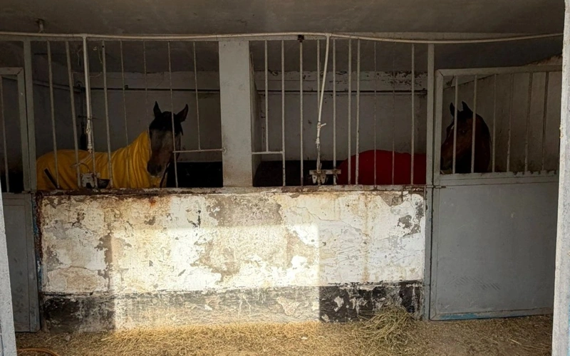 Комплекс «Тулпар» вернули в госсобственность в Алматы: что изменится