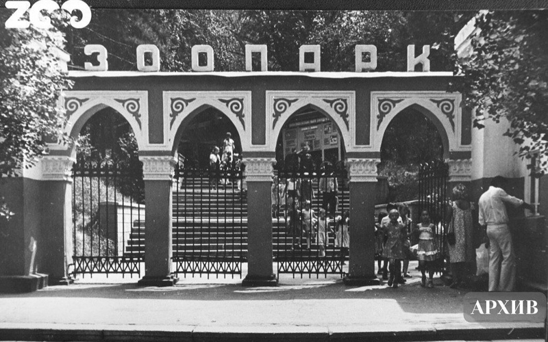 Как изменится зоопарк в&nbsp;Алматы после реконструкции