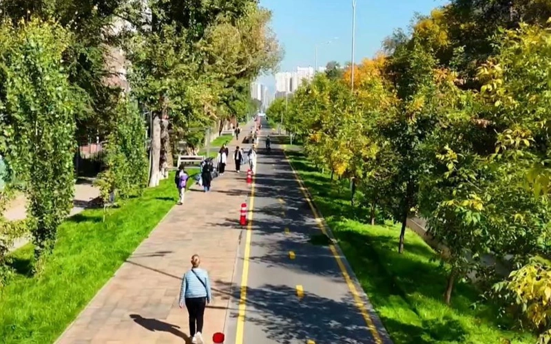 Больше зелени и света — в Алматы на улице Торайгырова завершили масштабное обновление