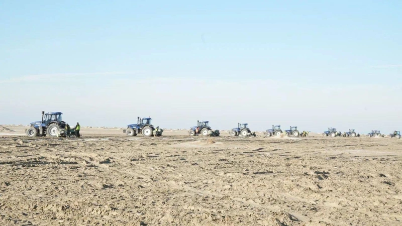 Началась осенняя посадка саксаула на дне Аральского моря