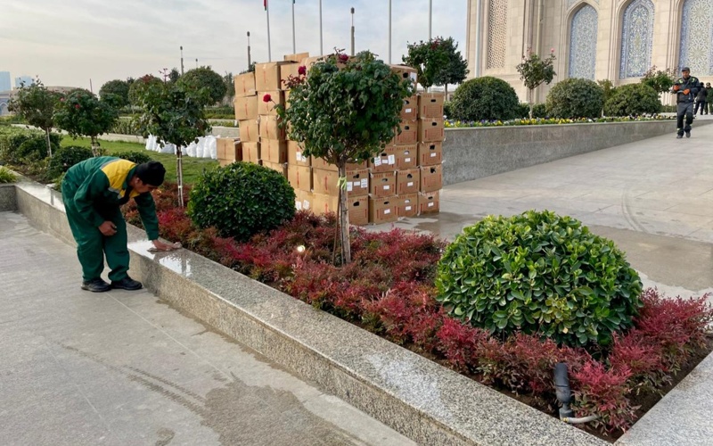 Ташкент Қазақстан Президентін қарсы алуға дайындалып жатыр — фоторепортаж 
