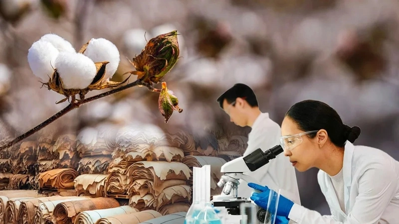 President orders to accelerate efforts to attract foreign investors to agricultural sector