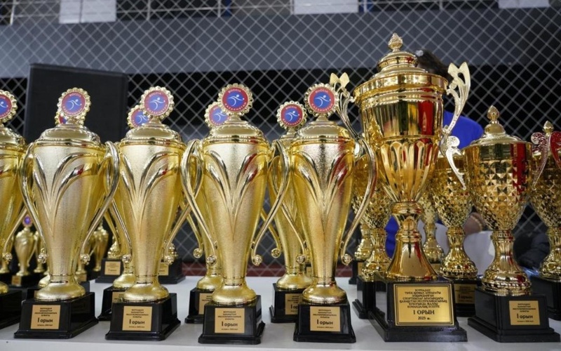 Параспортсменов наградили в Астане параспорт