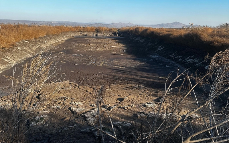 Свиноферму в ВКО привлекли к ответственности за нарушения экологических норм