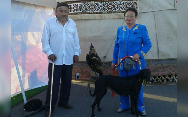 Семья из Жетысу сохраняет и развивает казахскую породу тазы Семья из Жетысу сохраняет и развивает казахскую породу тазы