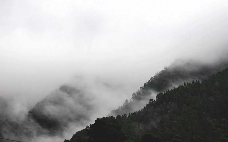 Туманы и ветер ожидаются в большинстве регионов Казахстана 16 ноября