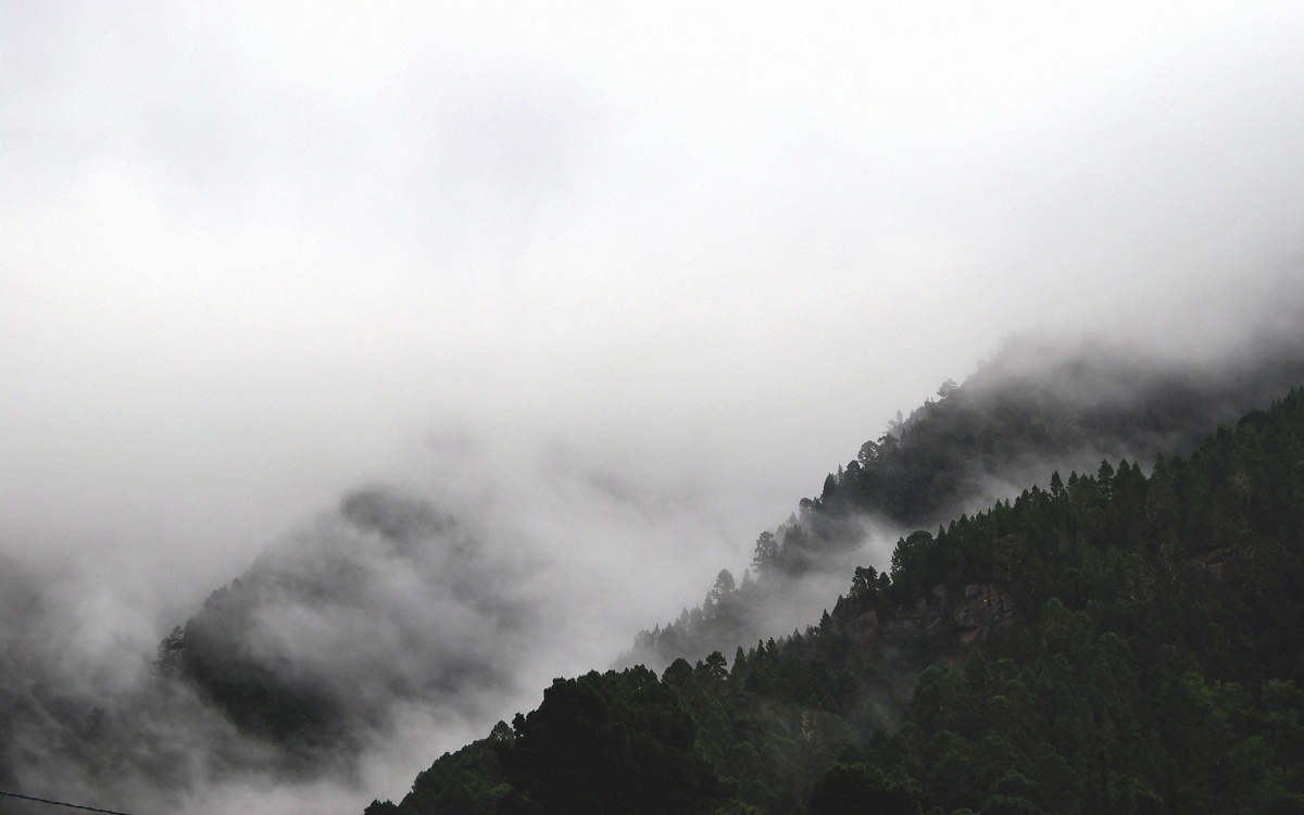 Қытайда қалың тұманға байланысты «сары» деңгейлі ескерту жарияланды