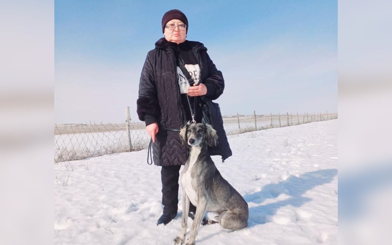 Семья из Жетысу сохраняет и развивает казахскую породу тазы Семья из Жетысу сохраняет и развивает казахскую породу тазы