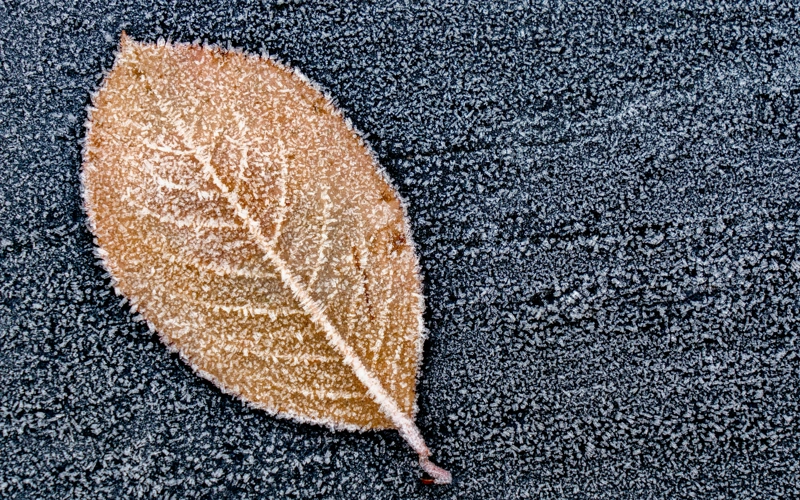 Штормовая погода ожидается в Казахстане 17 ноября