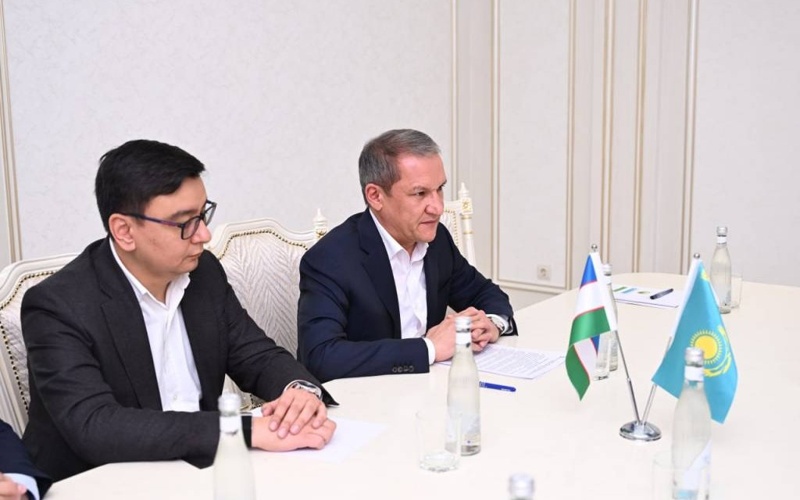 Túrkistan delegatsııasy Horezmge keldi