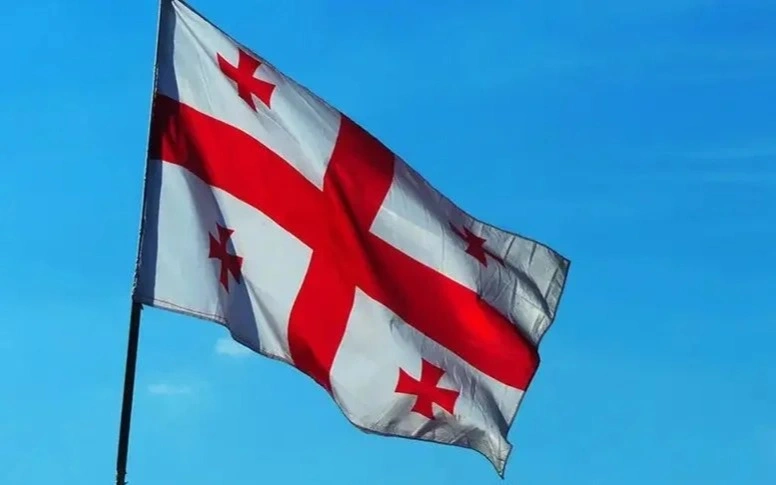 Грузия планирует запретить гражданам голосовать за рубежом