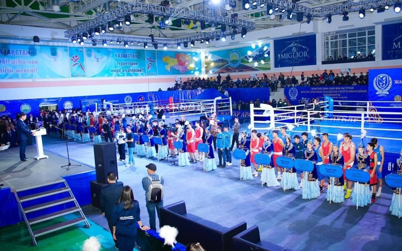 бокс, чемпионат по боксу