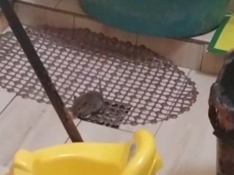 egeýquıryq egeýquıryq