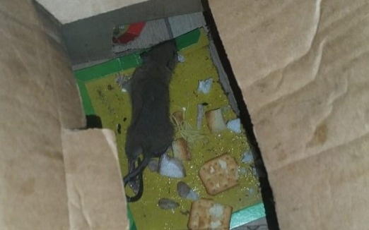 egeýquıryq egeýquıryq