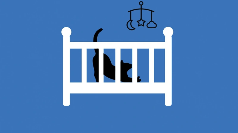 Developing countries see sharp rise in childfree people