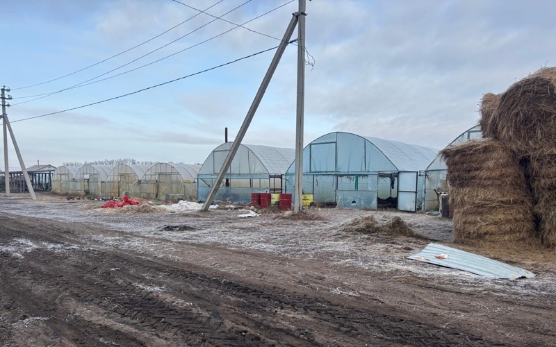 ауыл жылыжай а