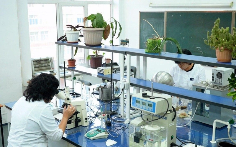 Казахстанские ученые нашли способ экономии воды с помощью защиты семян