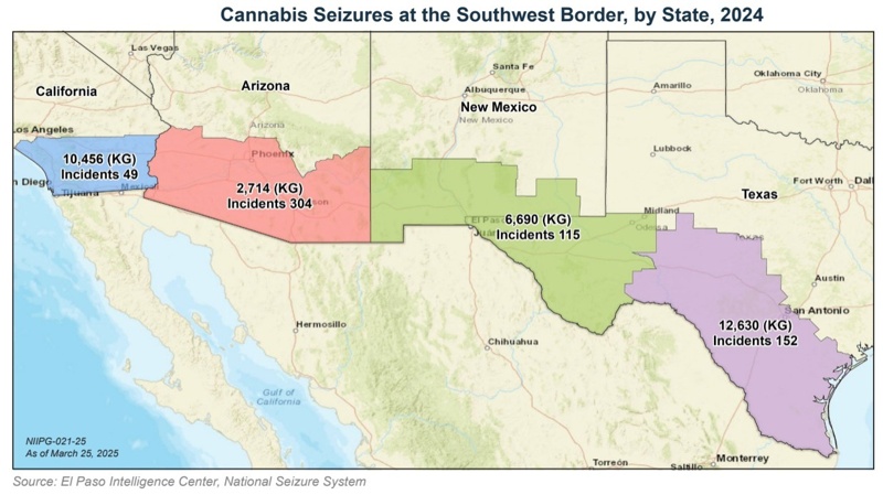 инфографика