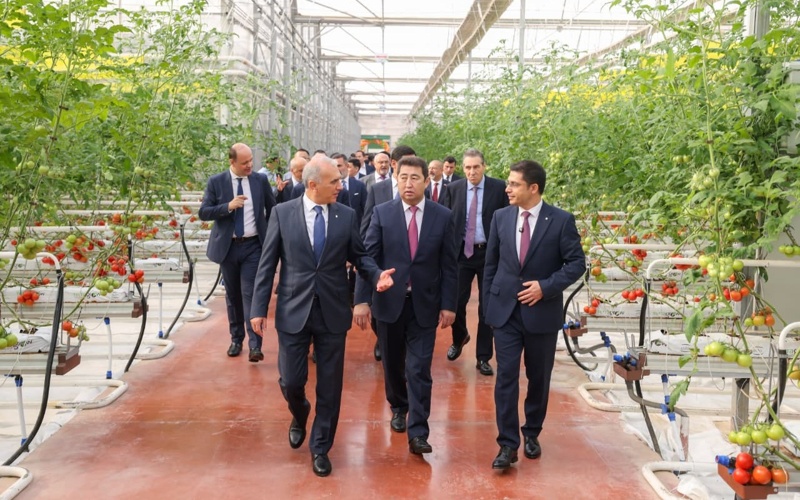 哈萨克斯坦最大温室综合体在奇姆肯特落成 年产番茄15.5万吨
