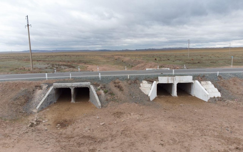 Павлодарда жазғытұрым қауіп көзінде қалатын елді мекендерде дайындық қалай