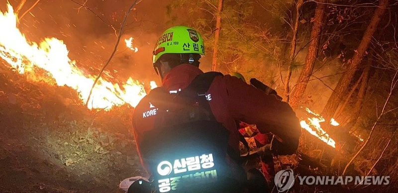 29 helicopters, hundreds of personnel deployed to bring wildfire in Inje under control