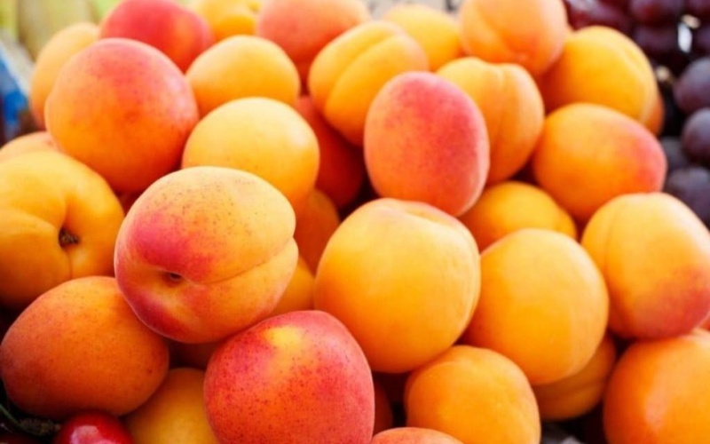 Өзбекстан өрік жемісін экспорттау бойынша әлемде екінші орында — ӨзА Өзбекстан өрік жемісін экспорттау бойынша әлемде екінші орында — ӨзА