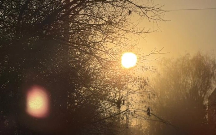 погода, солнце, осень, весна, деревья, ауа райы, күн, күз, тал, көктем 