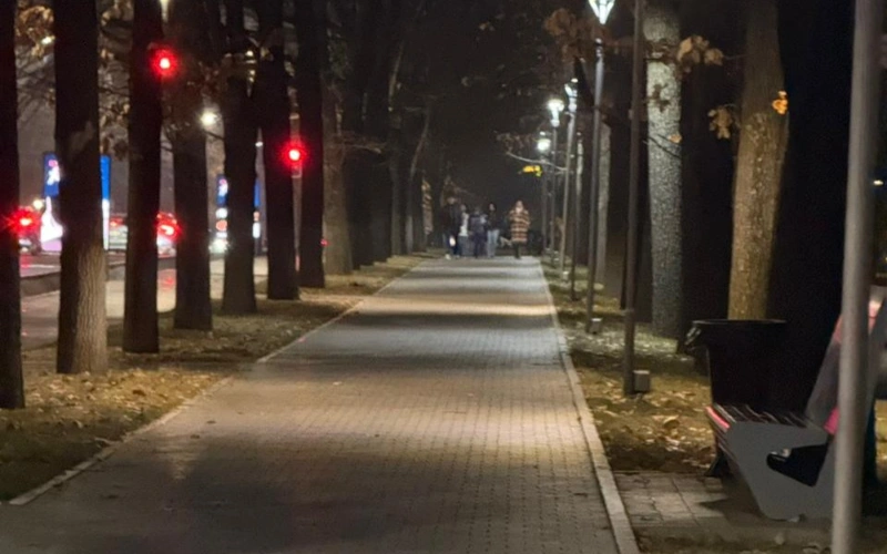 тропинка, погода, вечер, деревья, освещение