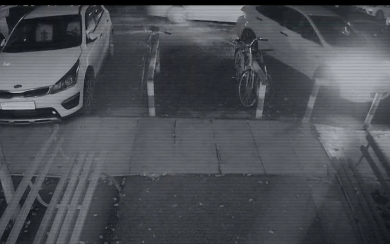 В полиции рассказали, как собирали доказательства по делу об убийстве Яны Легкодимовой