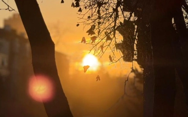 погода, солнце, осень, весна, деревья, ауа райы, күн, күз, тал, көктем 