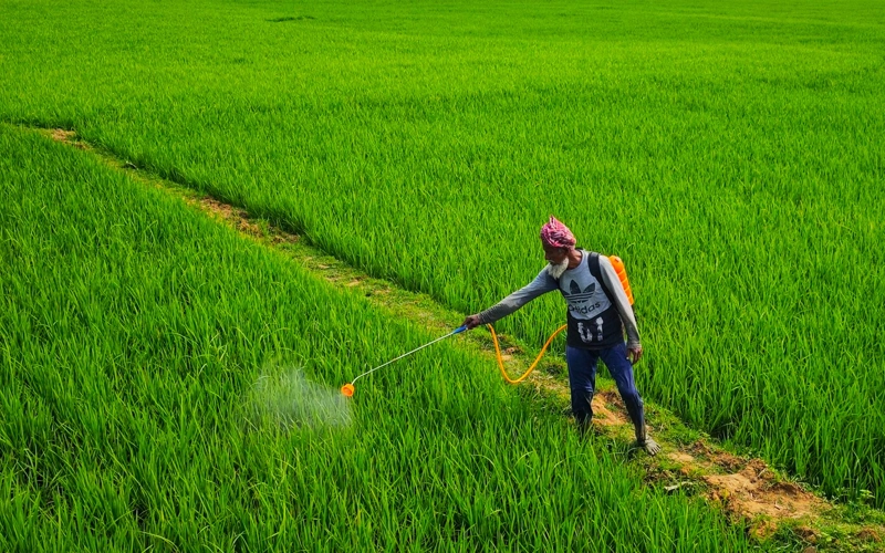 Indian scientists unveil portable ultra-sensitive device to detect toxic pesticides
