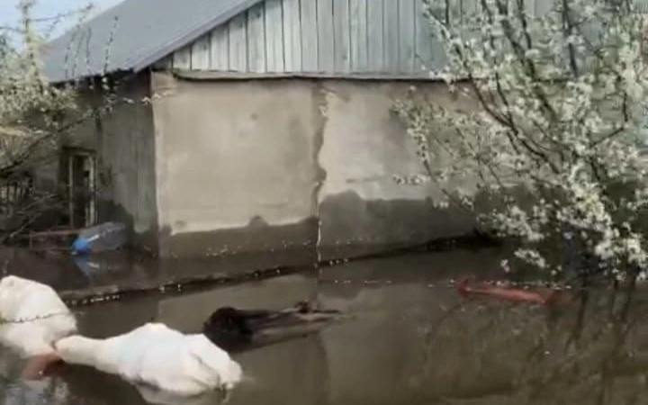 Орал тұрғыны: үйіміз суға кеткенде берілген пәтерді әкімдік қайтарып алмақшы