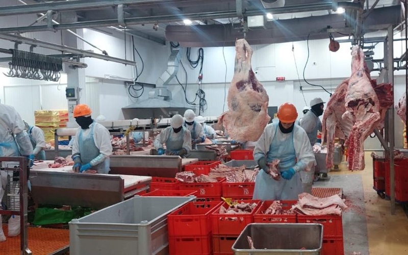 Тағы төрт қазақстандық кәсіпорын БАӘ импорттаушылары тізіміне кірді