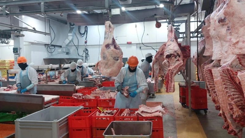 Four more Kazakhstani companies added to UAE list of importers 