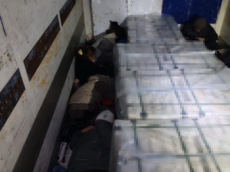 мигрант мигрант