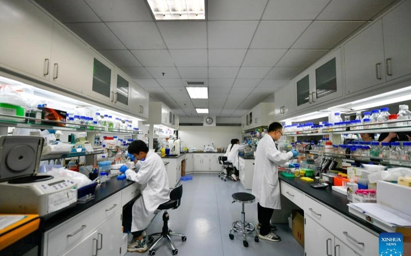 Chinese researchers help realize non-invasive insulin delivery through skin