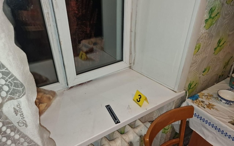 ШҚО-да 96 жастағы кейуананы тонамақ болған ер адам ұсталды ШҚО-да 96 жастағы кейуананы тонамақ болған ер адам ұсталды