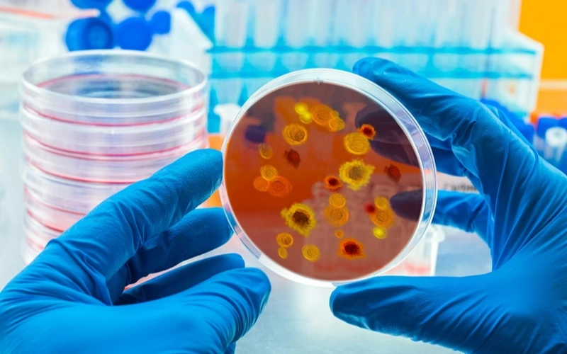 Еуропада қауіпті инфекция тарап жатыр