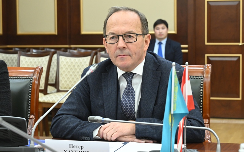 Мәжіліс спикері Аустрия Парламентінің төменгі палатасы төрағасының орынбасарын қабылдады