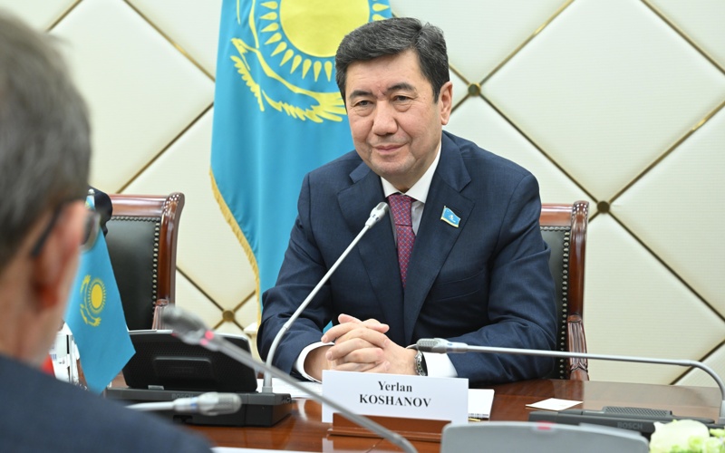 Мәжіліс спикері Аустрия Парламентінің төменгі палатасы төрағасының орынбасарын қабылдады