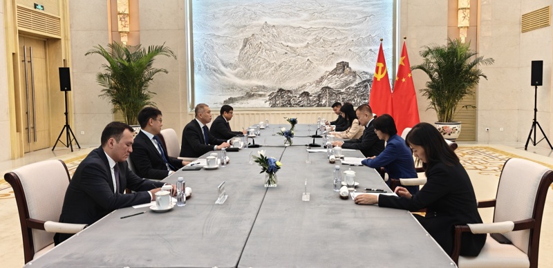 哈萨克斯坦驻华大使