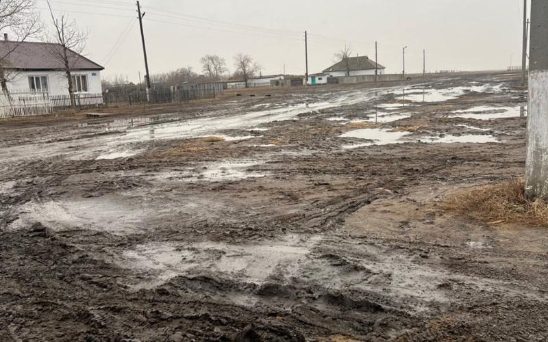 Павлодар өңіріндегі оқушылар ми батпақтан ауыл ішіндегі мектепке жете алмай жүр