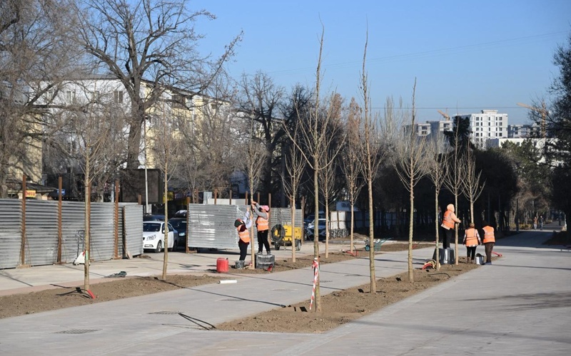 Аким Алматы ознакомился с ходом благоустройства территории вдоль улицы Пушкина