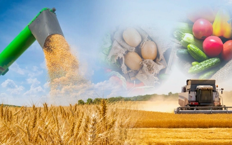 Gross agricultural product grows by 1.5 times over 6 years