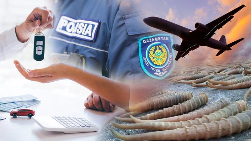 Что изменится в Казахстане с 1 декабря