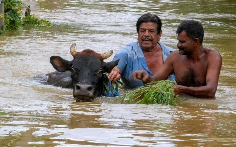 Sri Lanka declares emergency as floods wreak havoc across Colombo