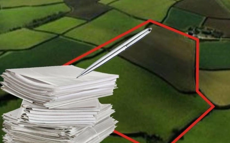 Незаконный захват госземли в Семее: ТОО оштрафовали