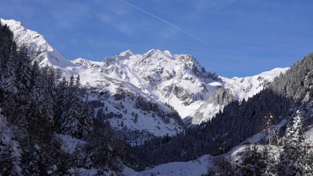 Попавшие в лавину лыжники спасены в австрийских Альпах